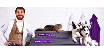 Purple Pet Bed - м'яке ложе для вашого улюбленця